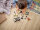 LEGO® 76951 Pyroraptor & Dilophosaurus Transport